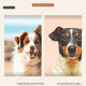 Pet Portrait + Custom Mug Bundle — Save 44%