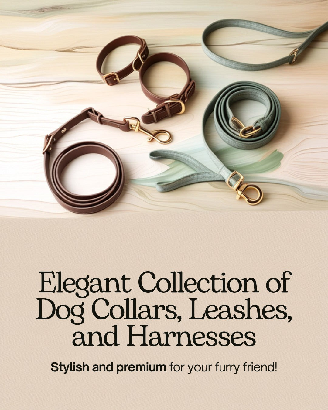 Collars, Leashes & Harnesses