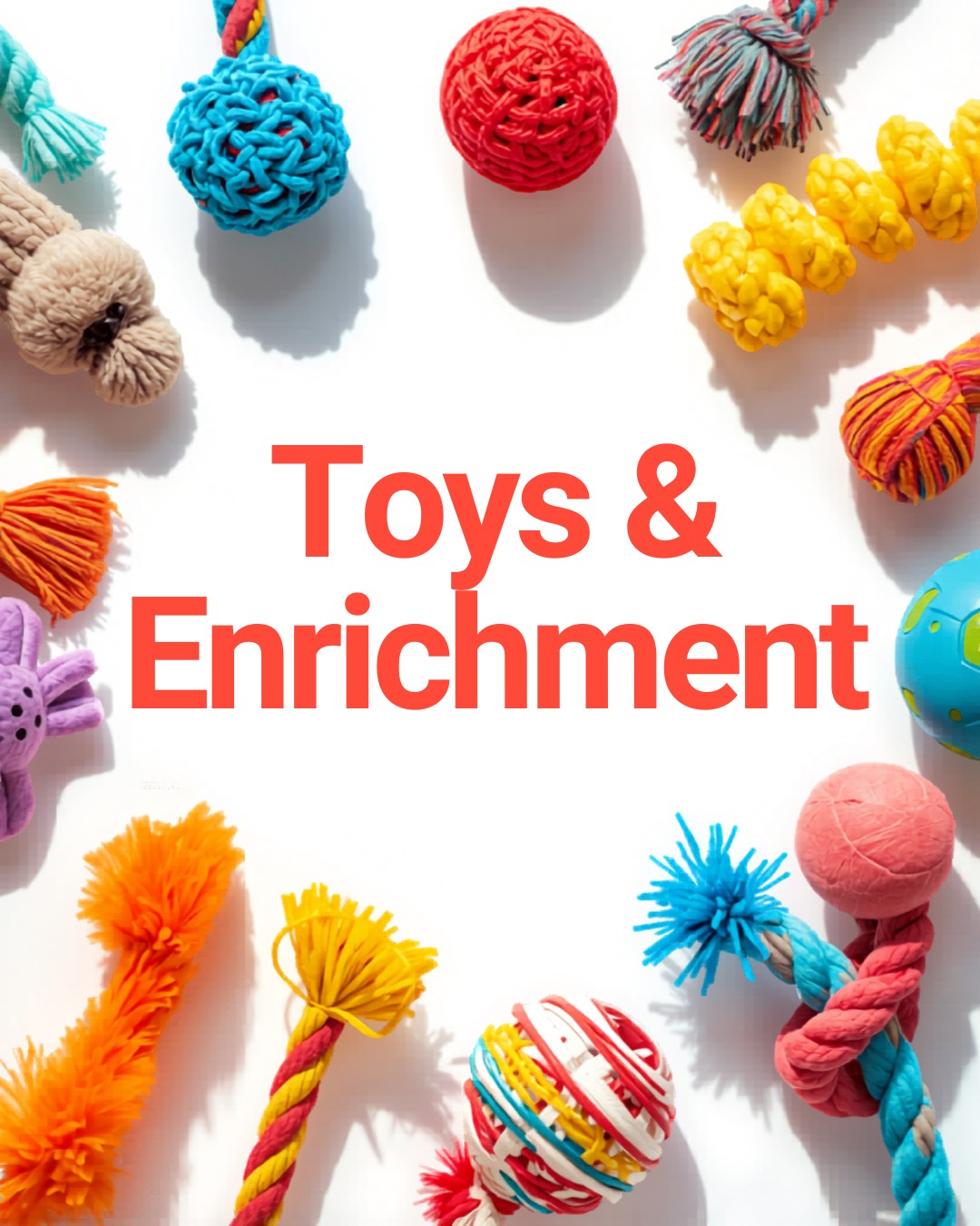 Toys & Enrichment