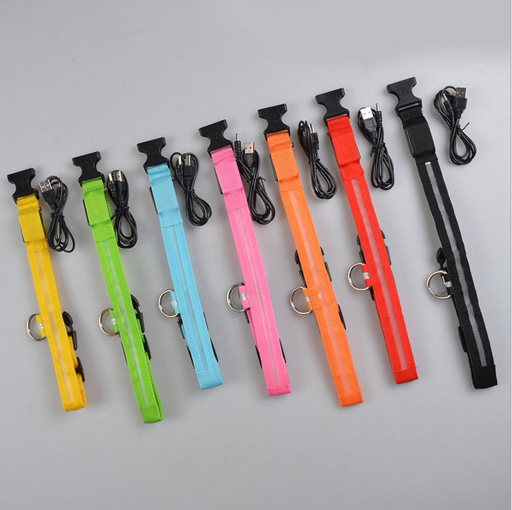 LED Glow Safety Collar for dogs and cats — USB rechargeable, waterproof