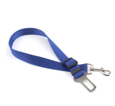 Durable Adjustable Polyester Dog Leash — padded handle, heavy-duty metal clip