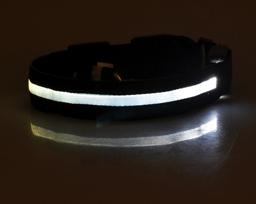 LED Glow Safety Collar for Dogs & Cats