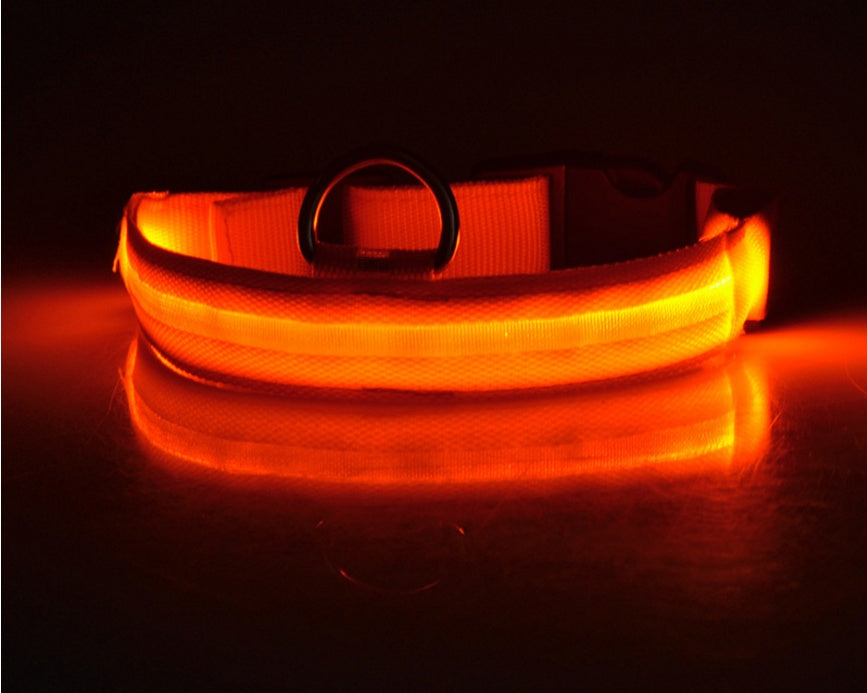 LED Glow Safety Collar for Dogs & Cats