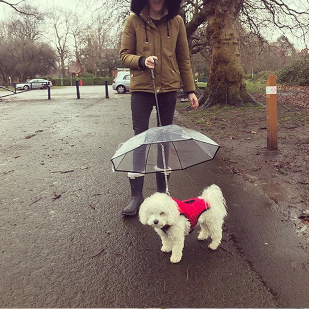 Transparent Dog Walking Umbrella with detachable leash — 360-degree rain coverage