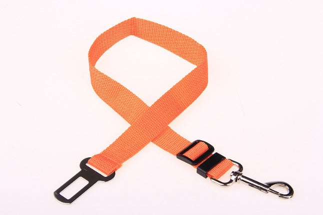 Durable Adjustable Polyester Dog Leash — padded handle, heavy-duty metal clip