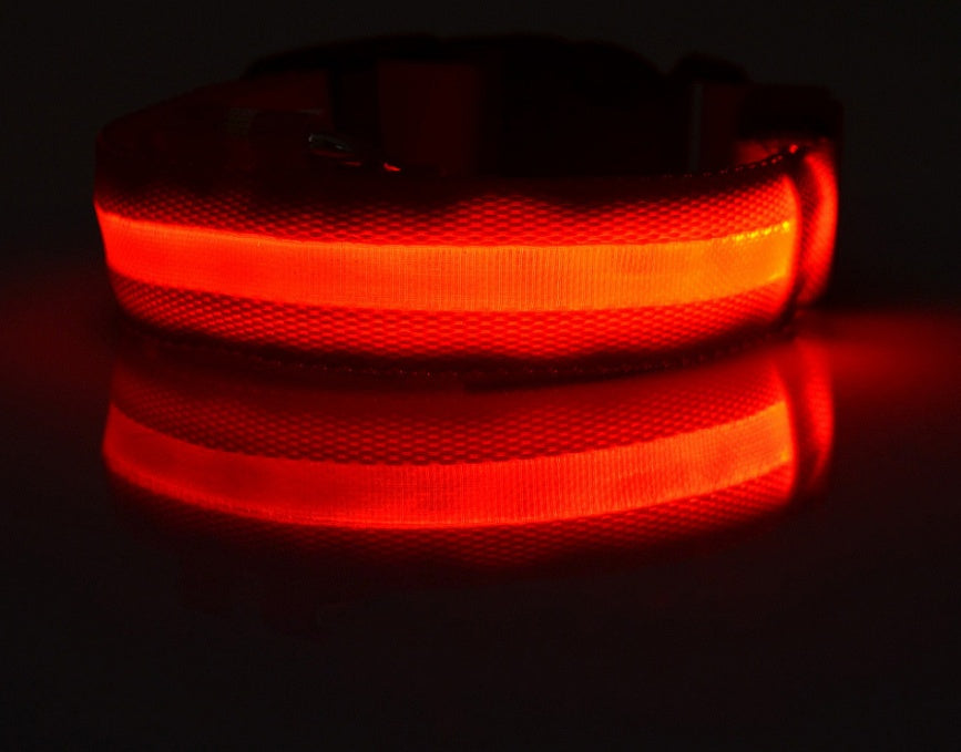 LED Glow Safety Collar for Dogs & Cats