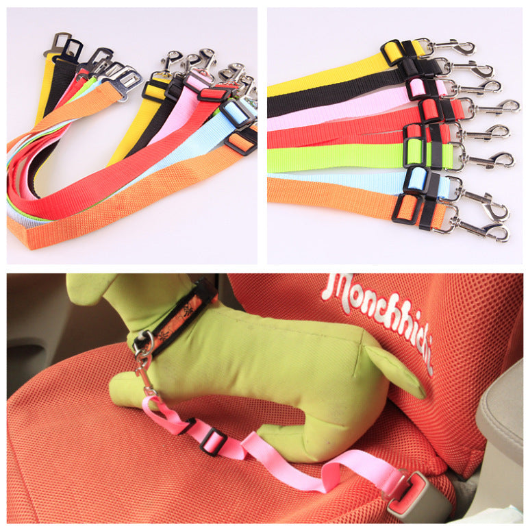 Durable Adjustable Polyester Dog Leash — padded handle, heavy-duty metal clip