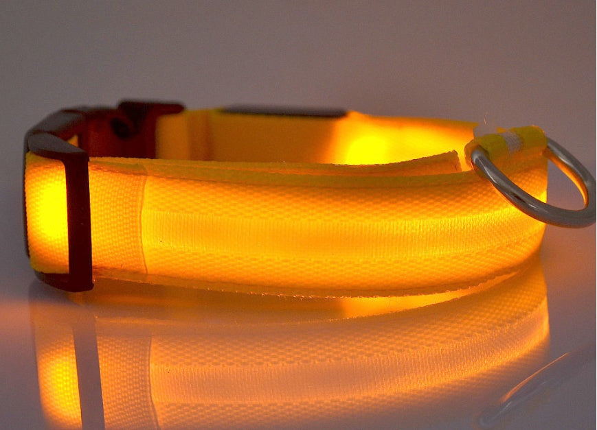 LED Glow Safety Collar for Dogs & Cats
