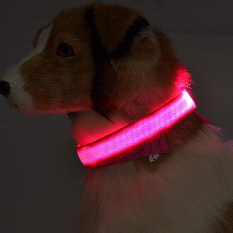 LED Glow Safety Collar for dogs and cats — USB rechargeable, waterproof