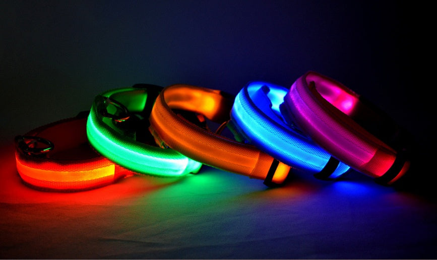 LED Glow Safety Collar for dogs and cats — USB rechargeable, waterproof