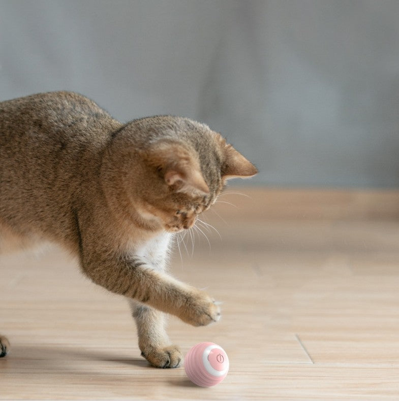 Self-Moving Interactive Rolling Ball for cats — USB rechargeable automatic cat toy