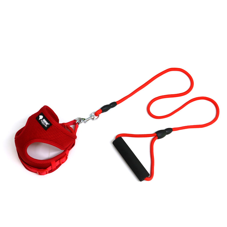 Adjustable Reflective Dog Leash & Collar Set — 360-degree reflective stitching