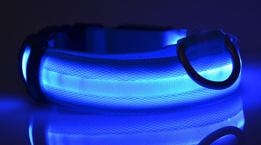 LED Glow Safety Collar for dogs and cats — USB rechargeable, waterproof