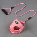 Adjustable Reflective Dog Leash & Collar Set — 360-degree reflective stitching