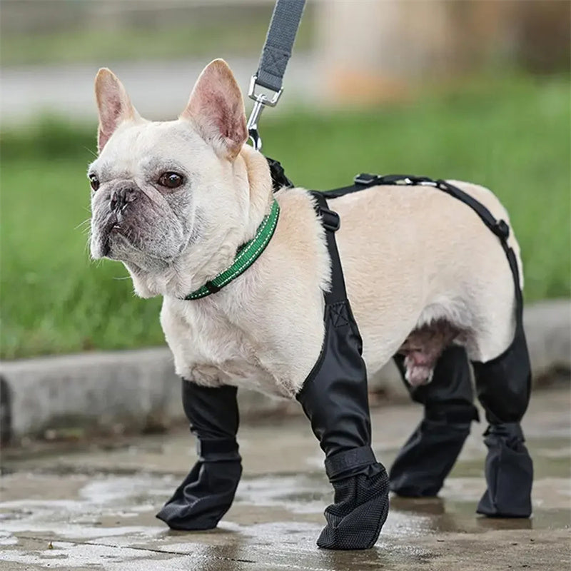 Waterproof Adjustable Dog Boots — paw protectors, non-slip rubber sole