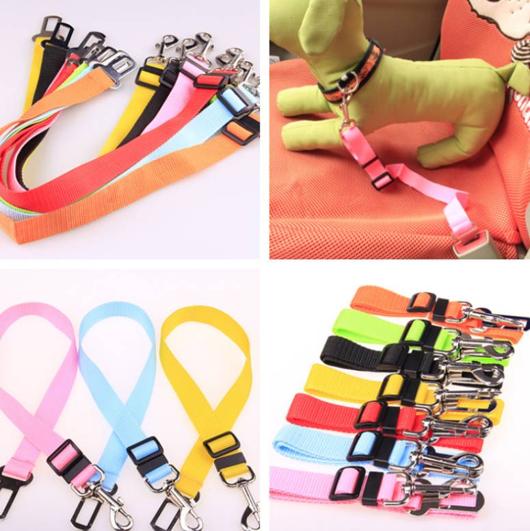 Durable Adjustable Polyester Dog Leash — padded handle, heavy-duty metal clip