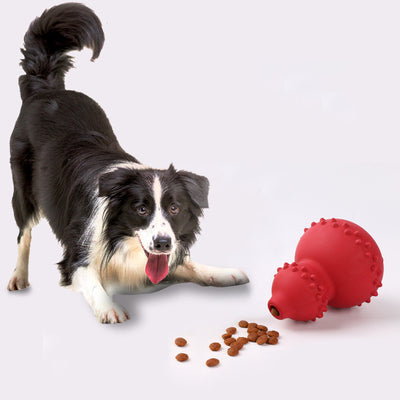 Natural Rubber Dental Chew Toy for Dogs