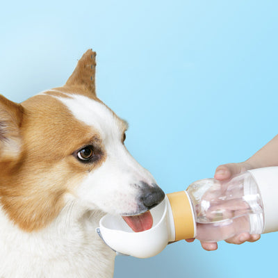 Portable Dog Walking Water Cup & Feeder