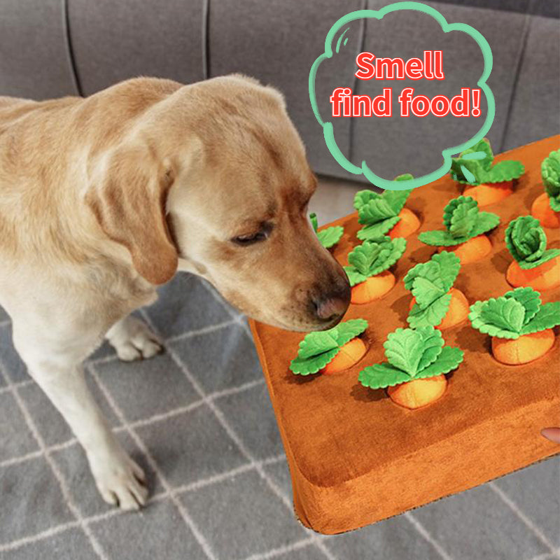 Carrot Plush Snuffle & Chew Toy for dogs — enrichment snuffle mat with squeaker