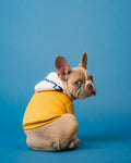 Personalized pet photo fleece blanket — soft custom photo print